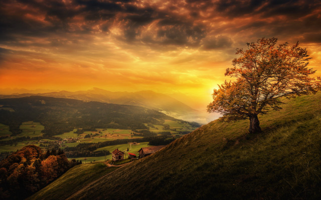 Tree hill sunset cloudy sky free wallpaper for desktop - medium preview image