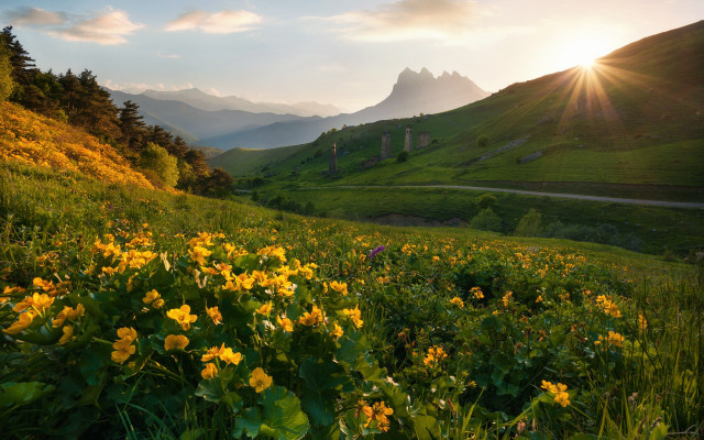 Flower field mountains sunbeam autumn free wallpaper for desktop - medium preview image