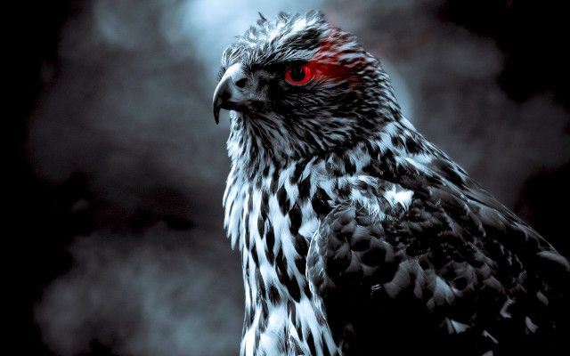 Bird red eyes gothic clouds free wallpaper for desktop - medium preview image