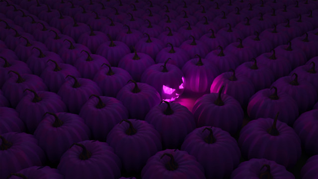 Purple pumpkins purple light field free wallpaper for desktop - medium preview image