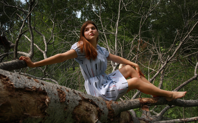 Woman sitting tree forest bamboo free wallpaper for desktop - medium preview image