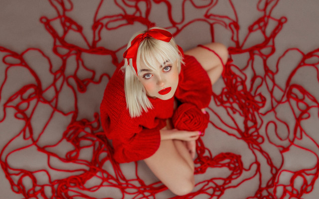 Red sweater red rose spider free wallpaper for desktop - medium preview image