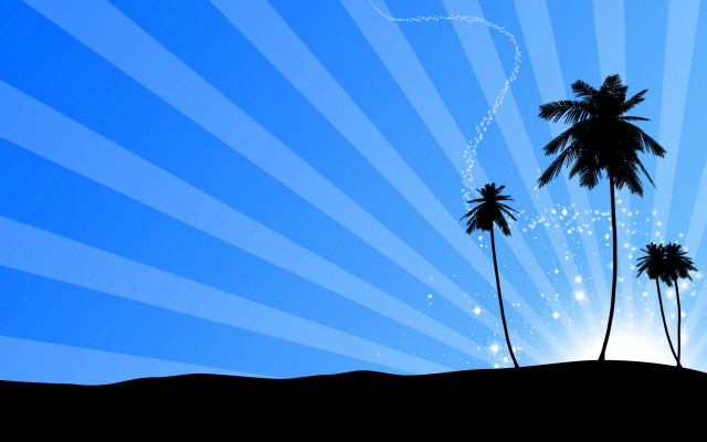 Palm tree star trail sunburst free wallpaper for desktop - medium preview image