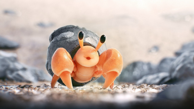 Toy crab rock surreal macro free wallpaper for desktop - medium preview image