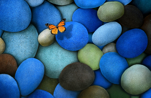 Butterfly rock blue green pebbles #5 free wallpaper for desktop - medium preview image