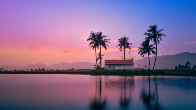 Island house palm trees sunset free wallpaper for desktop - medium preview image