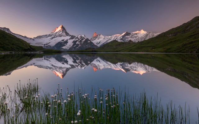 Mountain range reflection sunset wildflowers free wallpaper for desktop - medium preview image
