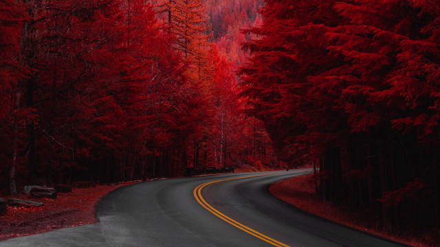 Red forest road bench autumn free wallpaper for desktop - medium preview image