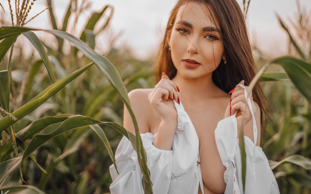 Elina karimova woman field corn free wallpaper for desktop - medium preview image