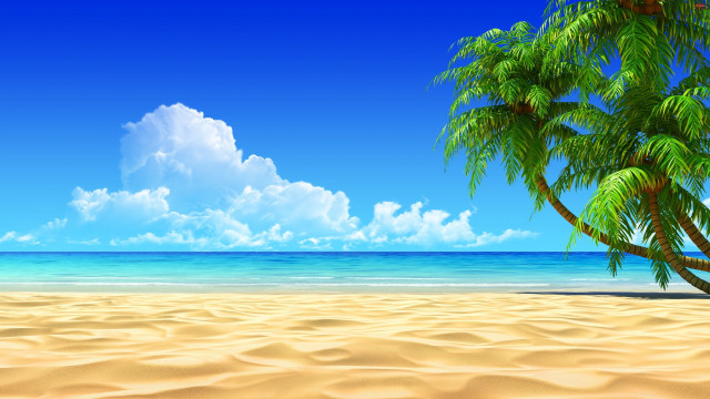 Palm tree sandy beach blue free wallpaper for desktop - medium preview image