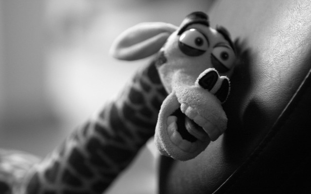 Stuffed animal peeking chair armrest free wallpaper for desktop - medium preview image