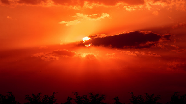 Red sky sun clouds trees free wallpaper for desktop - medium preview image