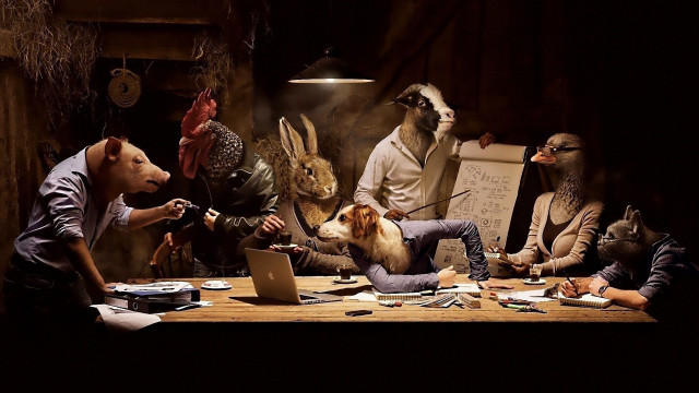 People animals dog table laptop free wallpaper for desktop - medium preview image