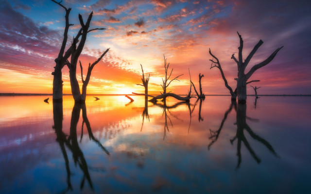 Sunset trees reflection clouds magic free wallpaper for desktop - medium preview image
