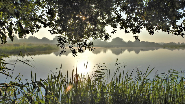 Lake forest branch sunset impressionism free wallpaper for desktop - medium preview image