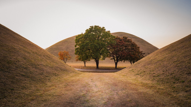 Dirt road trees hills path free wallpaper for desktop - medium preview image
