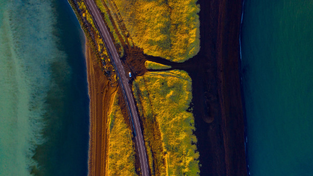 Road water tree sunset nature free wallpaper for desktop - medium preview image