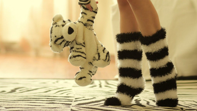 Zebra socks stuffed animal zebra free wallpaper for desktop - medium preview image