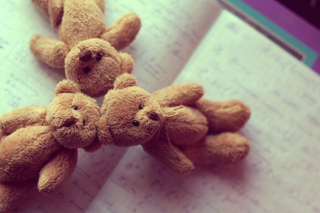 Teddy bears book pen mouth free wallpaper for desktop - medium preview image
