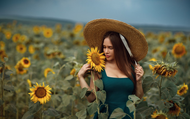 Sunflower field woman hat flower free wallpaper for desktop - medium preview image