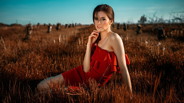 Woman red dress field brown free wallpaper for desktop - medium preview image