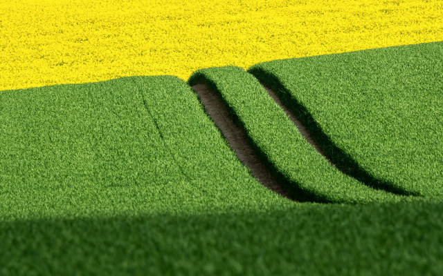 Green field shadow tiltshift landart free wallpaper for desktop - medium preview image