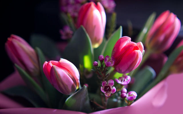 Pink flowers vase tablecloth bokeh free wallpaper for desktop - medium preview image