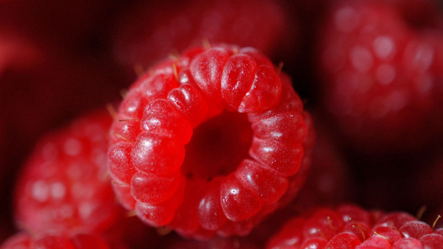 Raspberries water droplets macro photorealism #2 free wallpaper for desktop - medium preview image