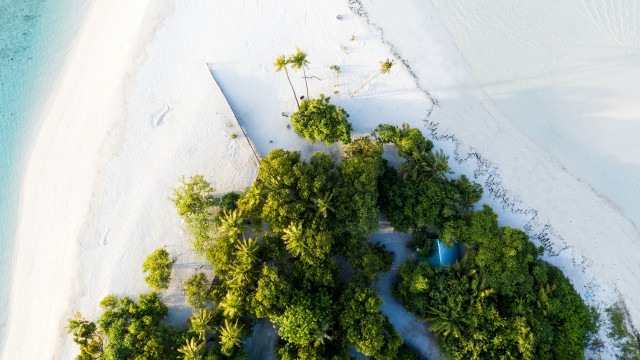 Beach tree path blue water free wallpaper for desktop - medium preview image