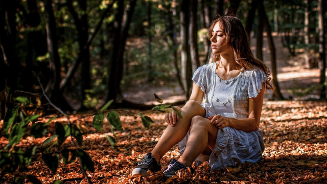 Woman sitting woods blurry background free wallpaper for desktop - medium preview image
