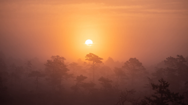 Sunset forest mountains moon hazy free wallpaper for desktop - medium preview image