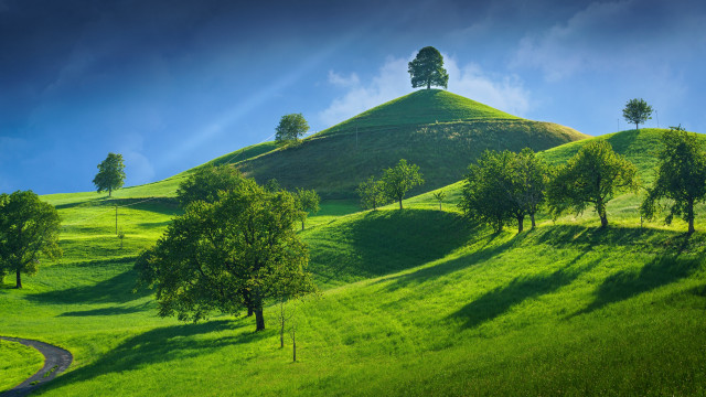 Green hill winding road trees free wallpaper for desktop - medium preview image