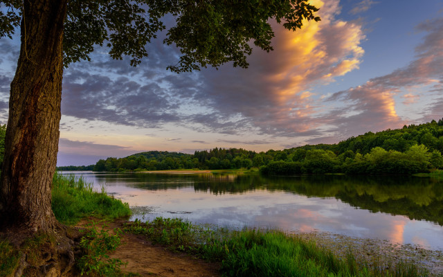 Sunset tree lake hudson river free wallpaper for desktop - medium preview image