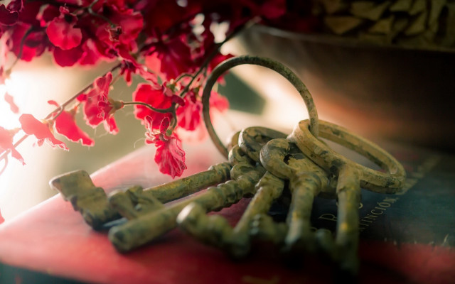 Keys vase flower book shallow free wallpaper for desktop - medium preview image
