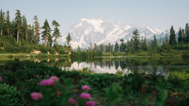Mountain lake forest flowers foreground free wallpaper for desktop - medium preview image