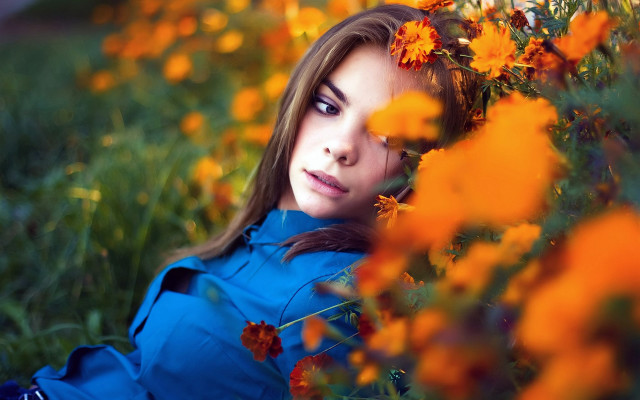 Woman laying flower field autumn free wallpaper for desktop - medium preview image