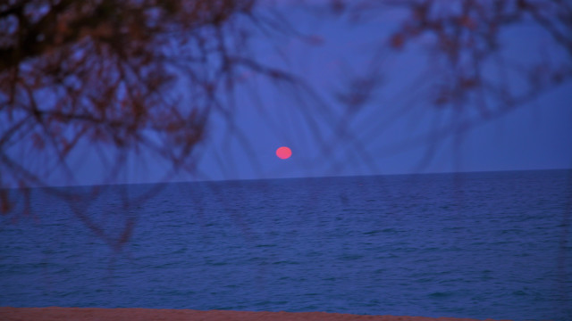 Red ball ocean night moon free wallpaper for desktop - medium preview image