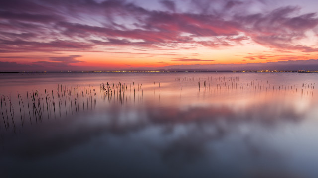 Lake reeds sunset clouds mystical free wallpaper for desktop - medium preview image