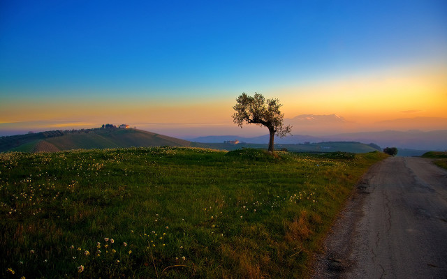Lone tree hill sunset road free wallpaper for desktop - medium preview image