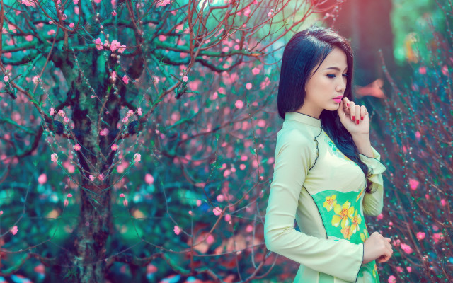 Woman tree pinkflowers green dress free wallpaper for desktop - medium preview image