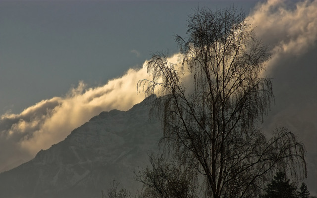 Mountain mist cloud trees sunset free wallpaper for desktop - medium preview image