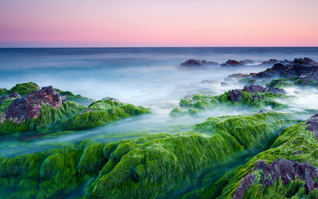Sea green algae rocks sunset free wallpaper for desktop - medium preview image
