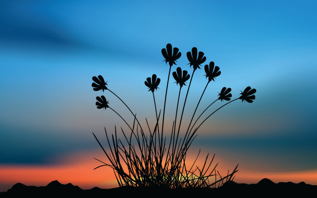Plant silhouette sunset blue sky free wallpaper for desktop - medium preview image