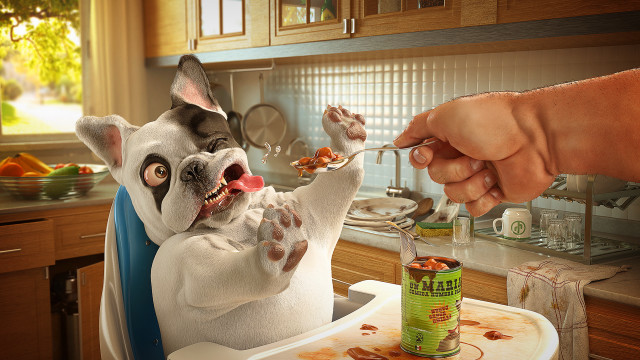 Dog eating food with spoon free wallpaper for desktop - medium preview image