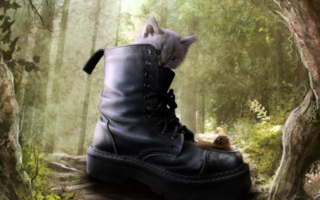 Kitten in boot forest sunlight free wallpaper for desktop - medium preview image