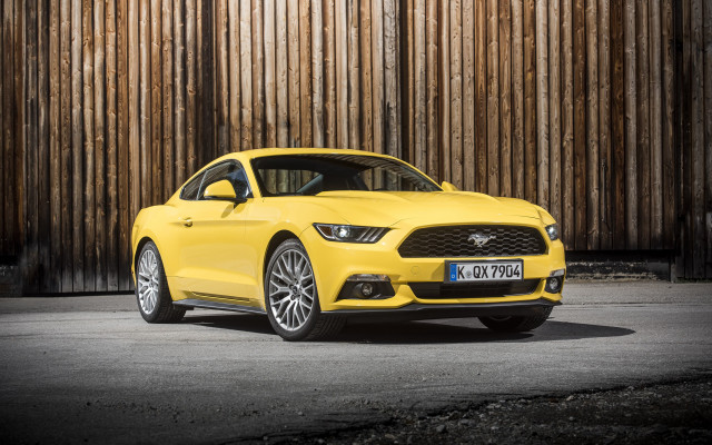 Yellow mustang wooden fence black free wallpaper for desktop - medium preview image