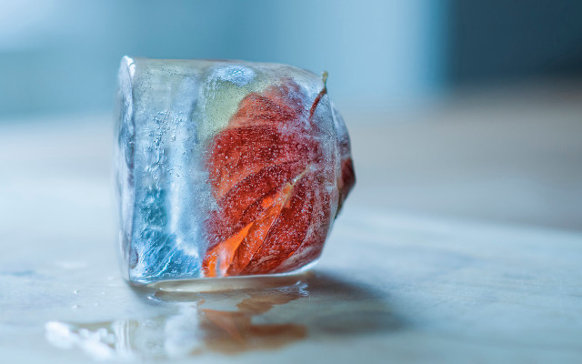 Glass ice fruit table water free wallpaper for desktop - medium preview image