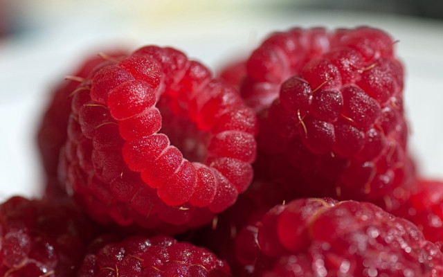 Raspberries water droplets macro photorealism #3 free wallpaper for desktop - medium preview image