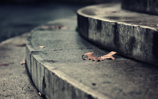Leaf park bench sidewalk tiltshift free wallpaper for desktop - medium preview image