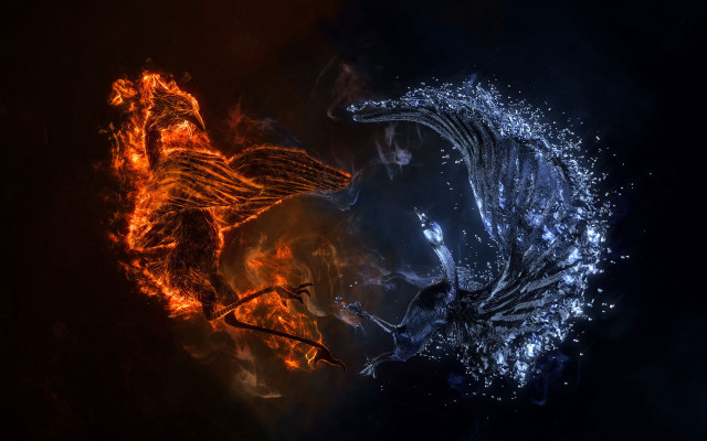 Fire ice dragon battle flame free wallpaper for desktop - medium preview image